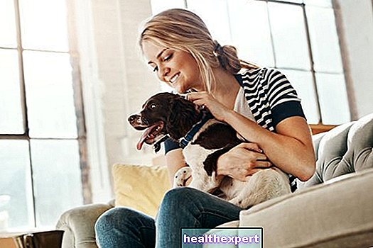 Coronavirus: 5 lời khuyên cho người nuôi chó