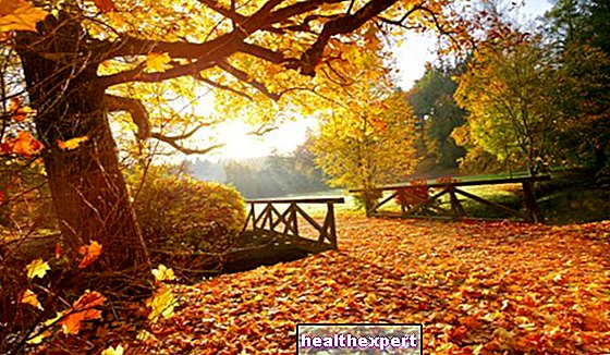 Listy: co to je a kde obdivovat barvy podzimního listí - Životní Styl