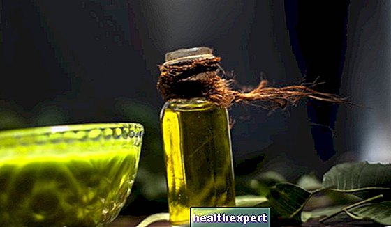Олія німу для рослин: натуральна та ефективна проти комах та паразитів