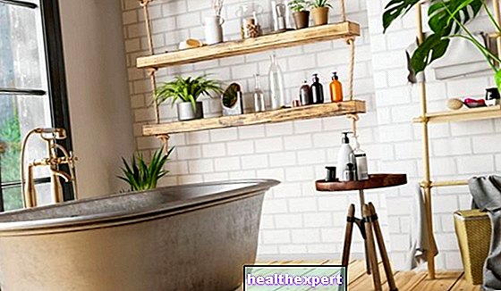 Tumbuhan bilik mandi: perabot yang mampu menyerap kelembapan