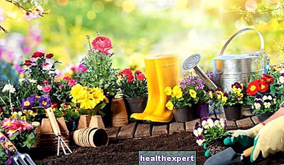 Цветне баштенске биљке: најбоље врсте за украшавање спољашњости куће! - Начин Живота