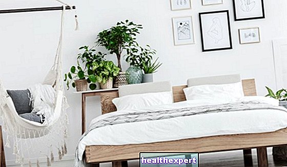 Rośliny do sypialni: które lepiej spać?