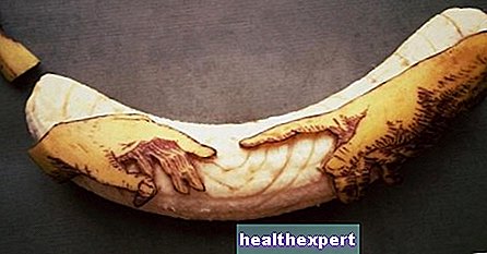 Sie werden nie glauben, was dieser Künstler mit ganz einfachen Bananen anstellen kann! - Nachrichten - Klatsch