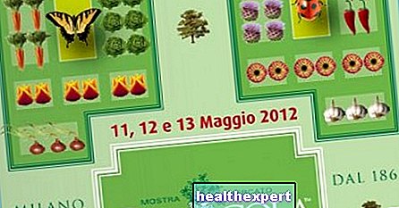 Orticola 2012 until 13 May - Old-Home