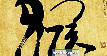 Čínsky horoskop 2016: rok opice - Horoskop